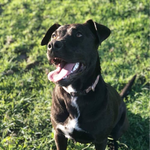 Ellie Mae