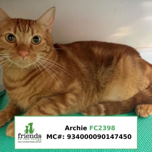 Archie