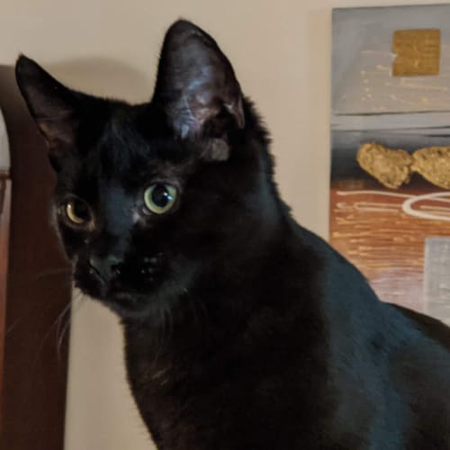 Salem