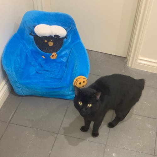 coco