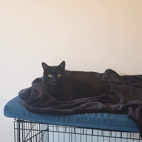 Sabrina