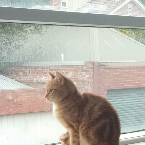 Rupert