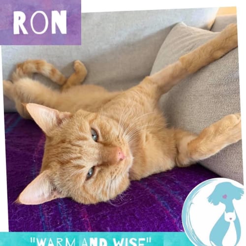 Ron