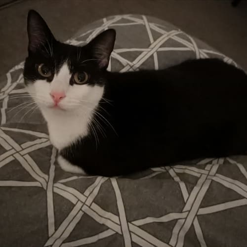 Timmy