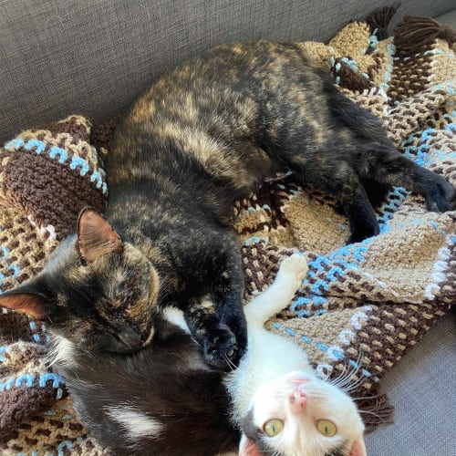 Bobbi (& Heidi)