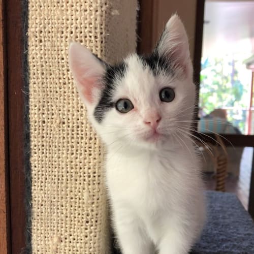 Luna 