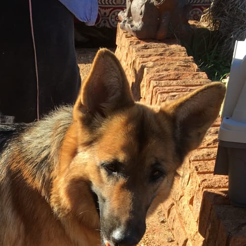 Victoria (bonded with Jonathon)