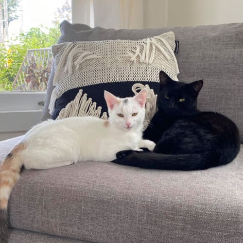 Poppet & Possum
