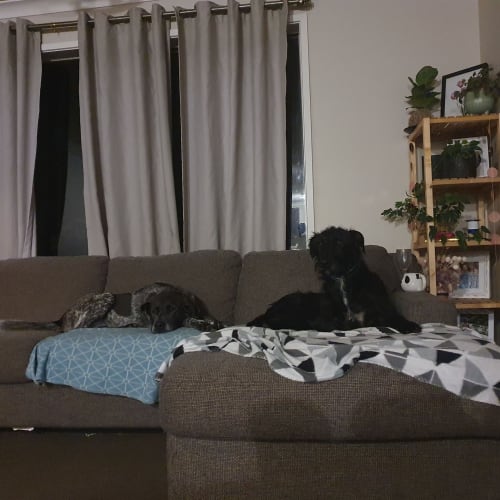 Jet