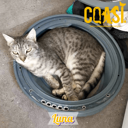Luna