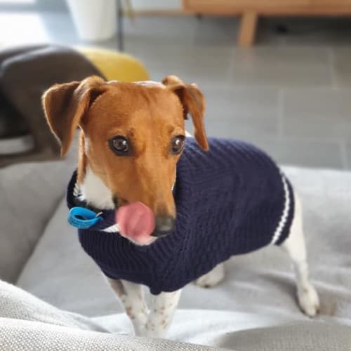 Peanut