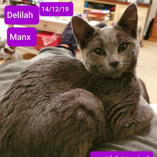 Delilah