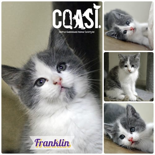 Franklin