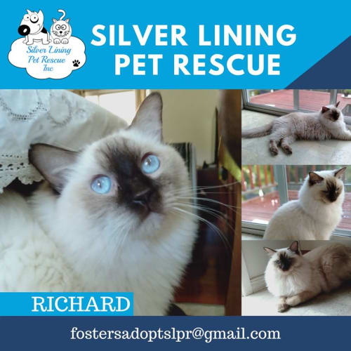Richard