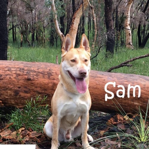 Sam
