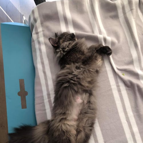 Chloe