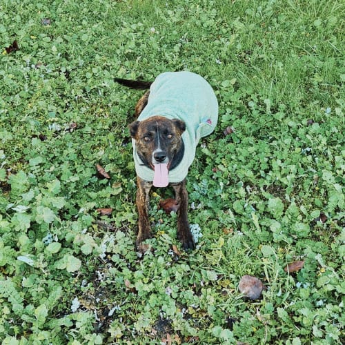 Puddles