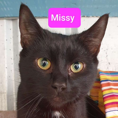 Missy