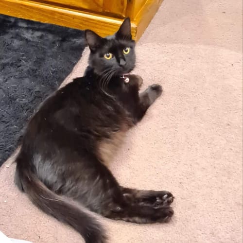 Mimi ❤
