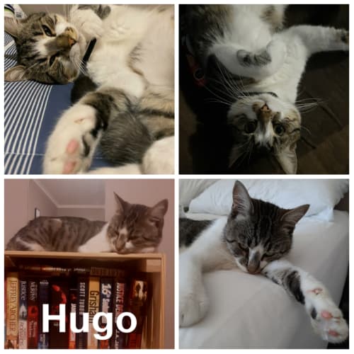 Hugo