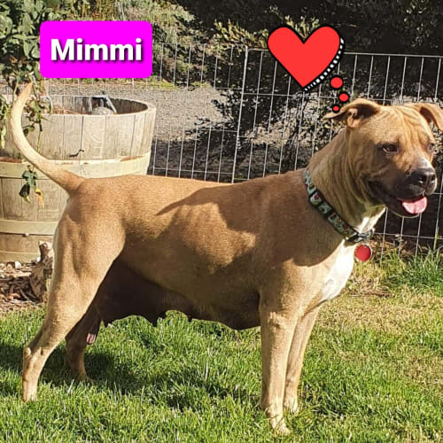 Mimmi