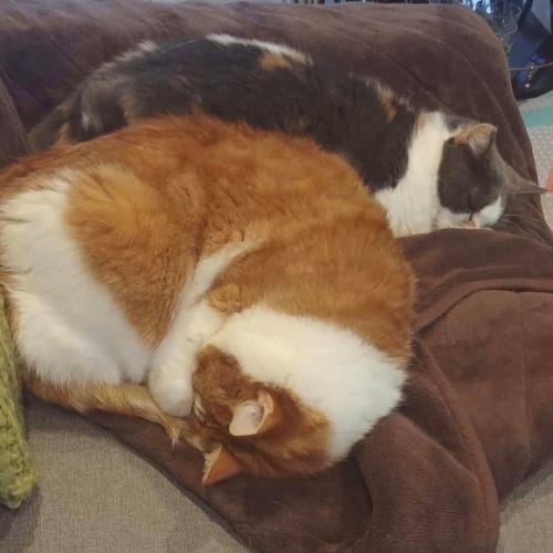 Charlie and Robbie
