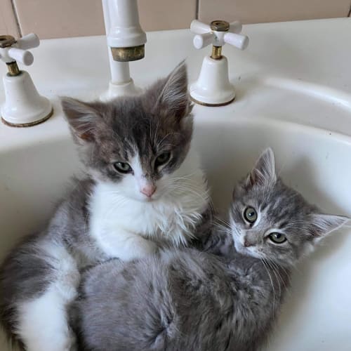 Carl and Tallulah ❤❤