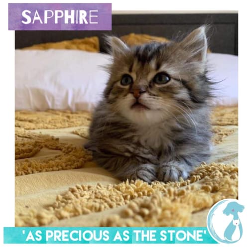 Sapphire 
