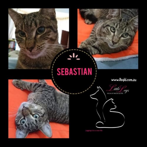 Sebastian