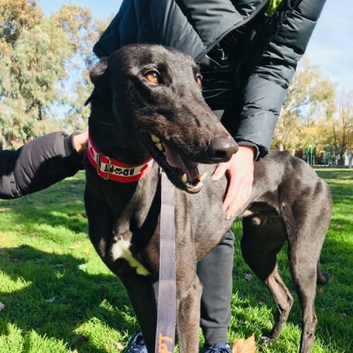 Monty.   Melbourne