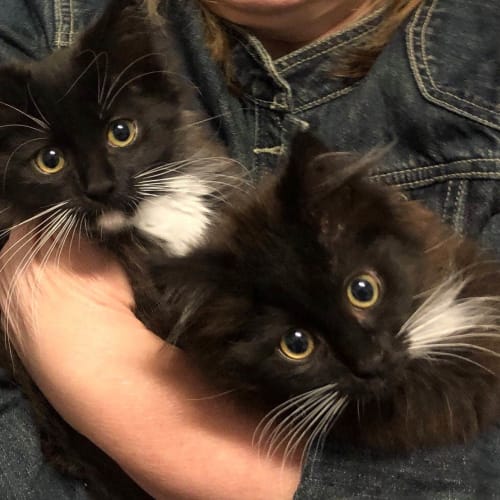 Eloise and Cinders ❤❤