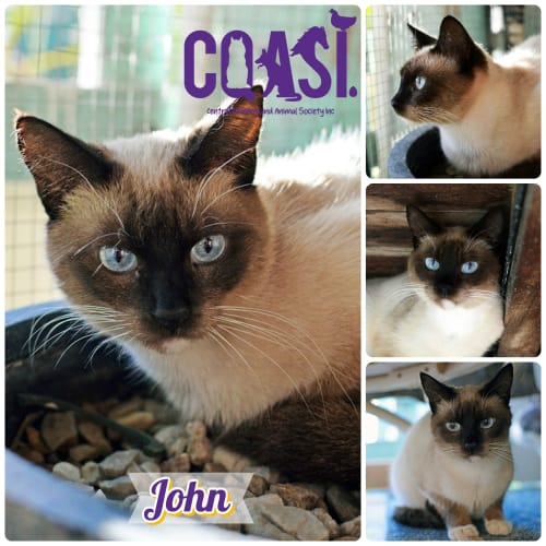John