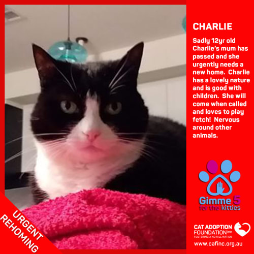 Charlie