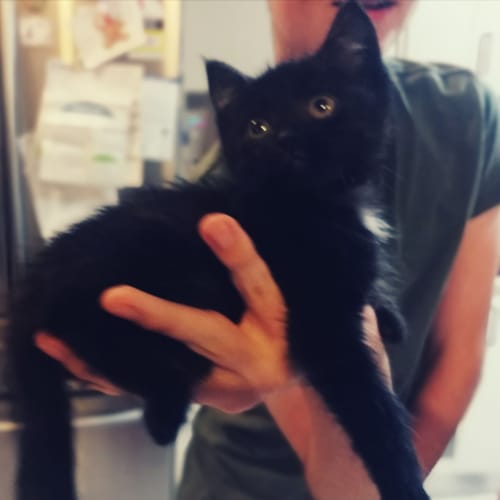 Pablo