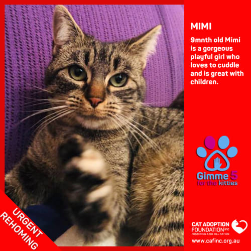 Mimi