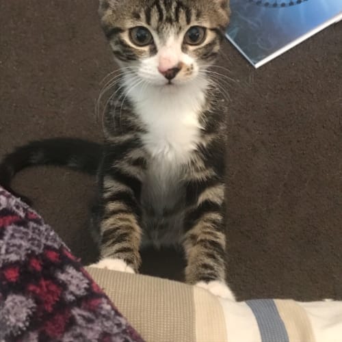 Titus 