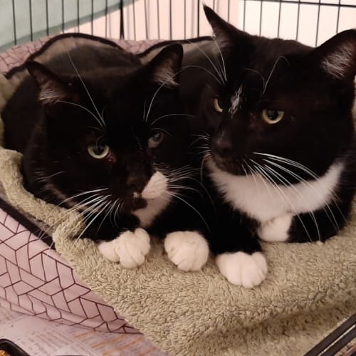 Truffles to go with Brocky.