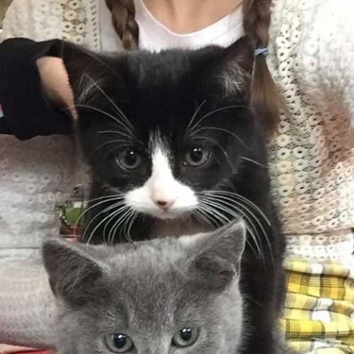 Kaha and Whetū