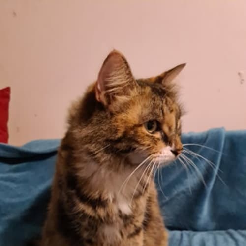 Coco