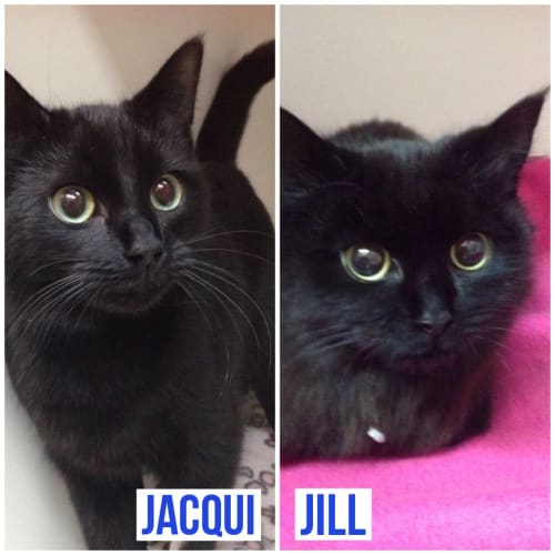 Jacqui and Jill