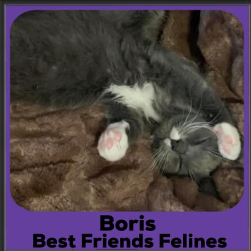 Boris 