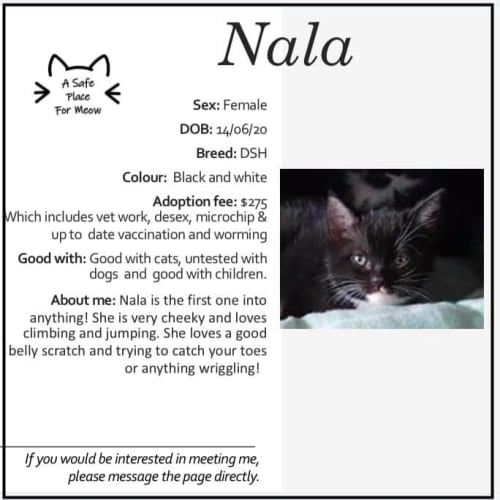 Nala