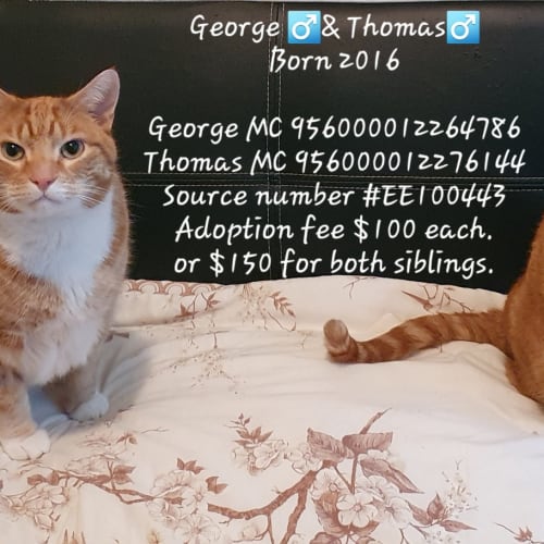 George & Thomas