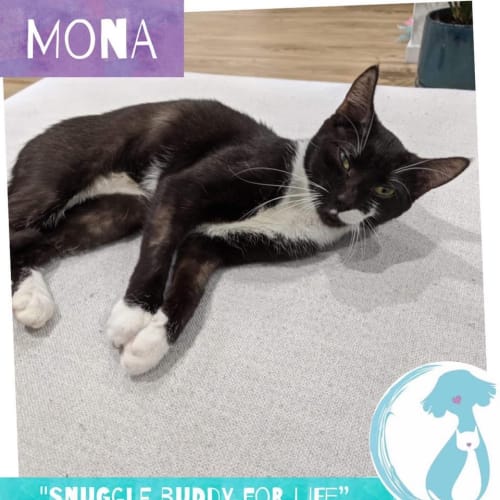Mona 
