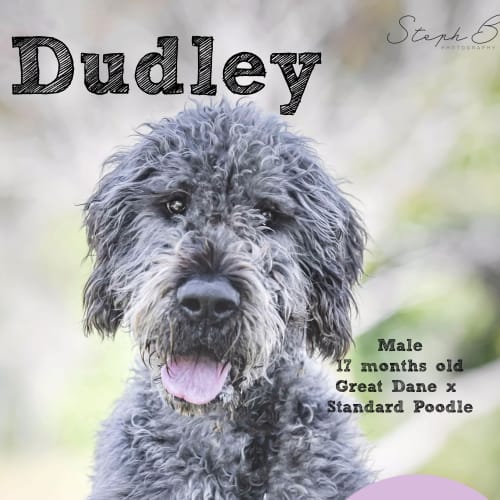 Dudley