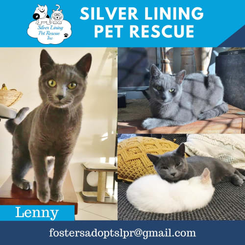Lenny 