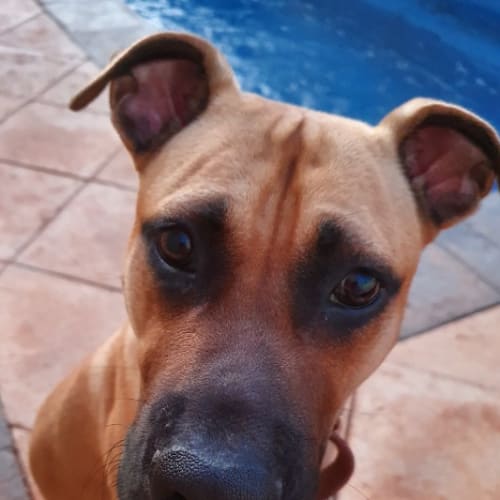 George