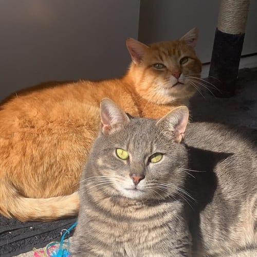 Leroy and Ralph