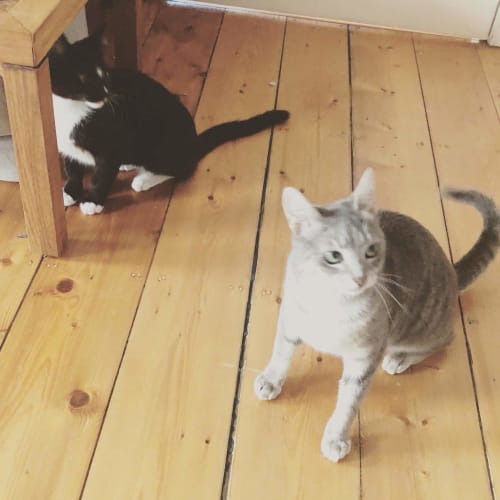 Matuā and Pai