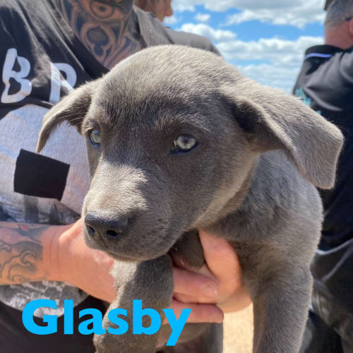 Glasby